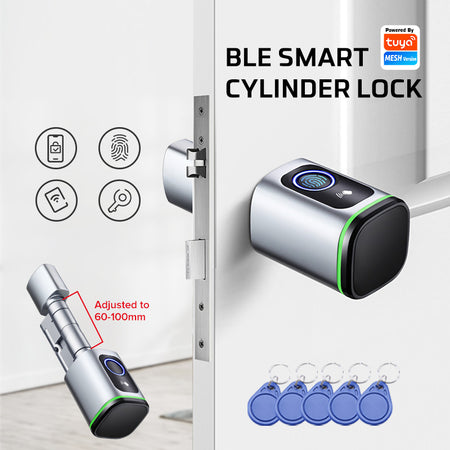 Euro Profile Lock Body Tuya APP Fingerprint Smart lock
