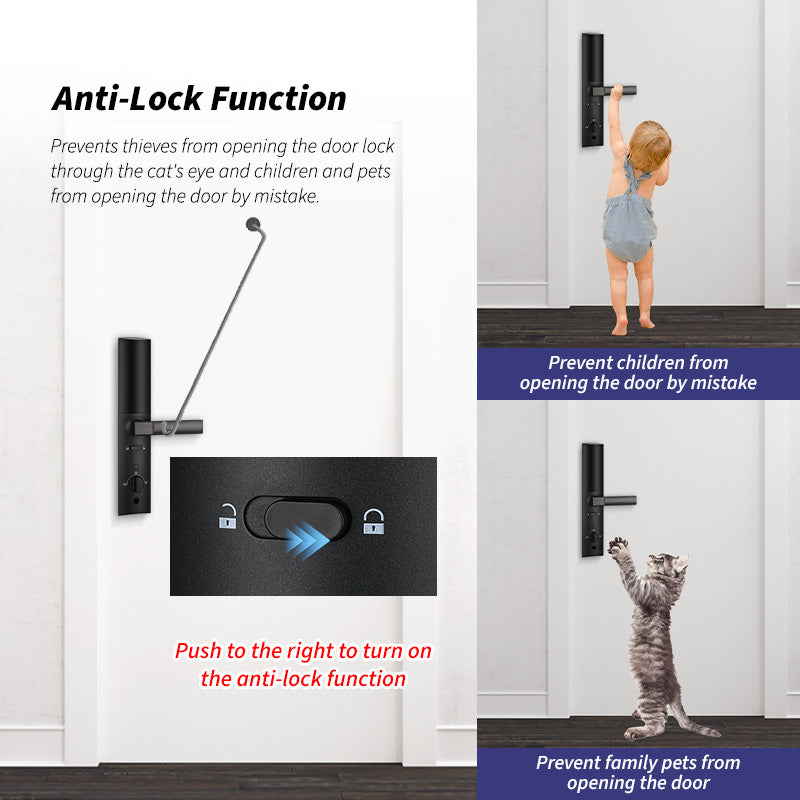 YRHAND Z11 Electronic Door Lock with Handle,Biometric Fingerprint Door Lock with Tuya APP/IC Card/Password/Key Unlock