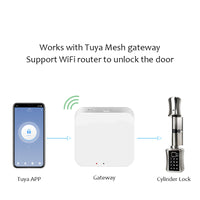 C001D-Adjustable Electronic Fingerprint Smart Door Lock,Smart Cylinder Lock with Tuya App Remote Control,with Password / Key Unlock