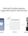 C001D-Adjustable Electronic Fingerprint Smart Door Lock,Smart Cylinder Lock with Tuya App Remote Control,with Password / Key Unlock