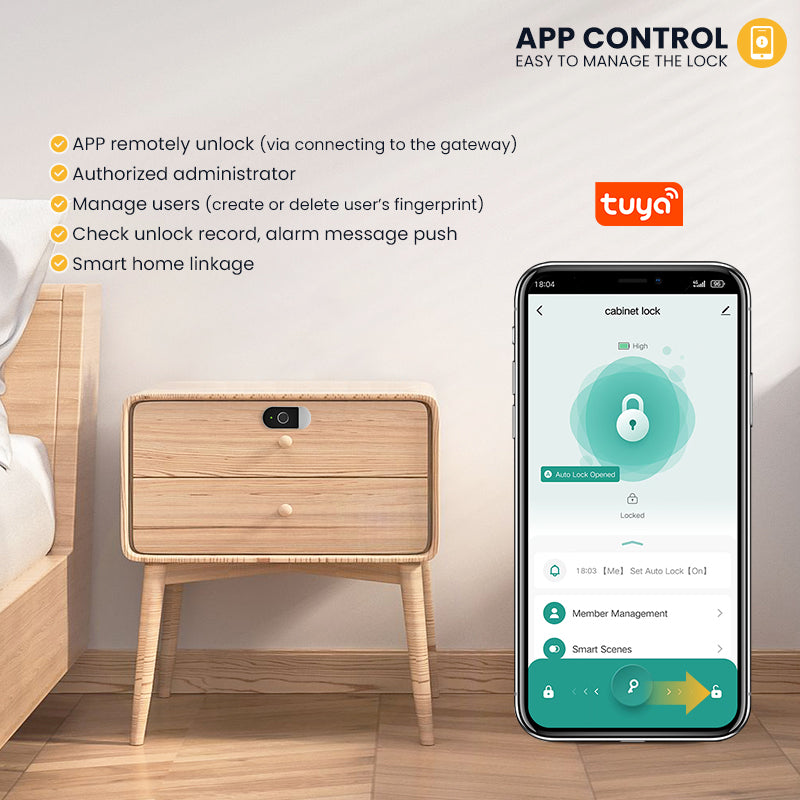 C100-Fingerprint Smart Cabinet Lock,TUYA App Biometric Keyless Entry Remote Access Drawer Filing Cabinet Furniture Cupboard Locks,Black