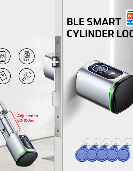 Euro Profile Lock Body Tuya APP Fingerprint Smart lock