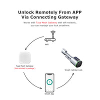 Euro Profile Lock Body Tuya APP Fingerprint Smart lock