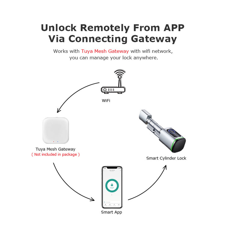 Euro Profile Lock Body Tuya APP Fingerprint Smart lock