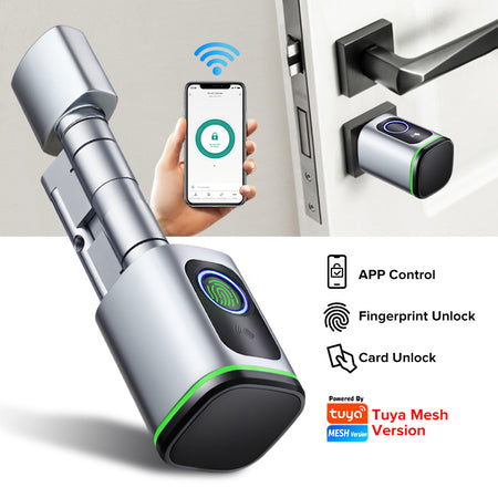 Euro Profile Lock Body Tuya APP Fingerprint Smart lock