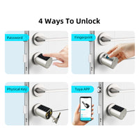Cylinder Electronic Smart Door Lock Tuya APP