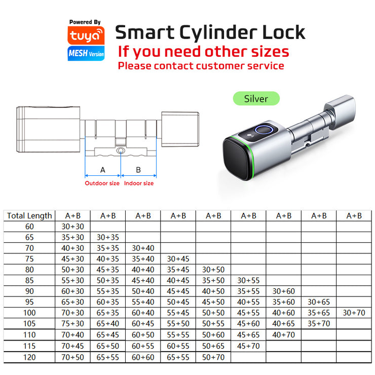 Euro Profile Lock Body Compatible Electronic Cylinder Tuya APP Fingerprint Smart lock