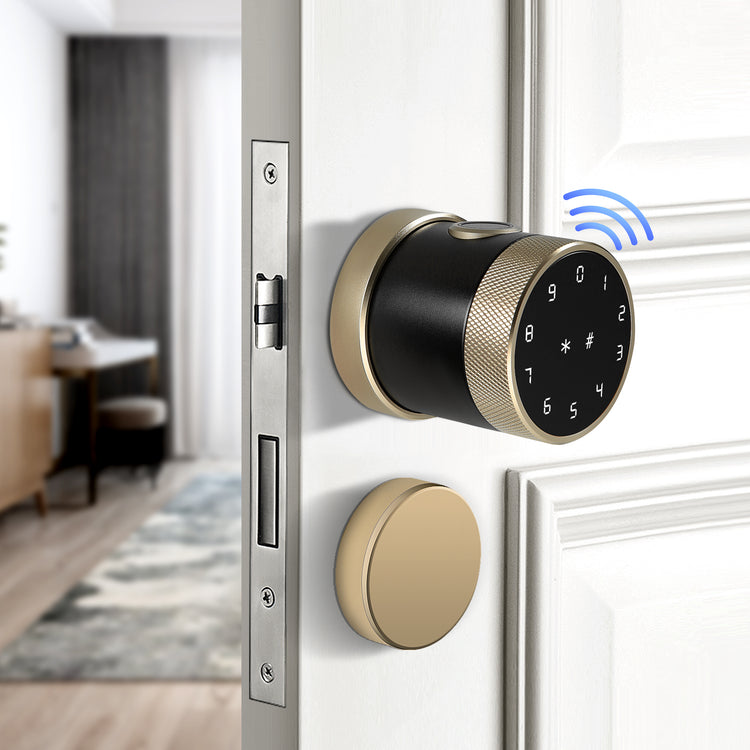 THX1 —— Plus Keyless Fingerprint and Touchscreen Door Lock